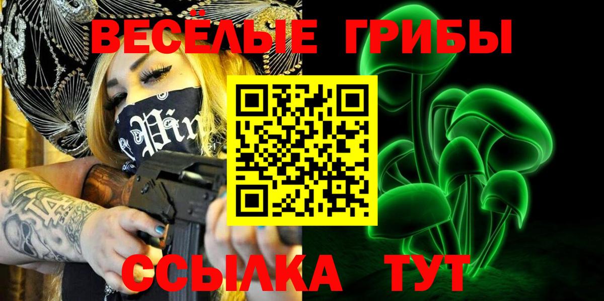 Псилоцибиновые грибы Cubensis Сыктывкар