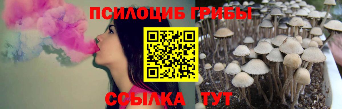 Сыктывкар  Галлюциногенные грибы GOLDEN TEACHER  Вход с VPN 